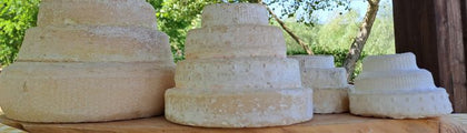 Caseificio Terre del Giarolo Formaggio Montébore Presidio Slow Food vendita online finetaste.it